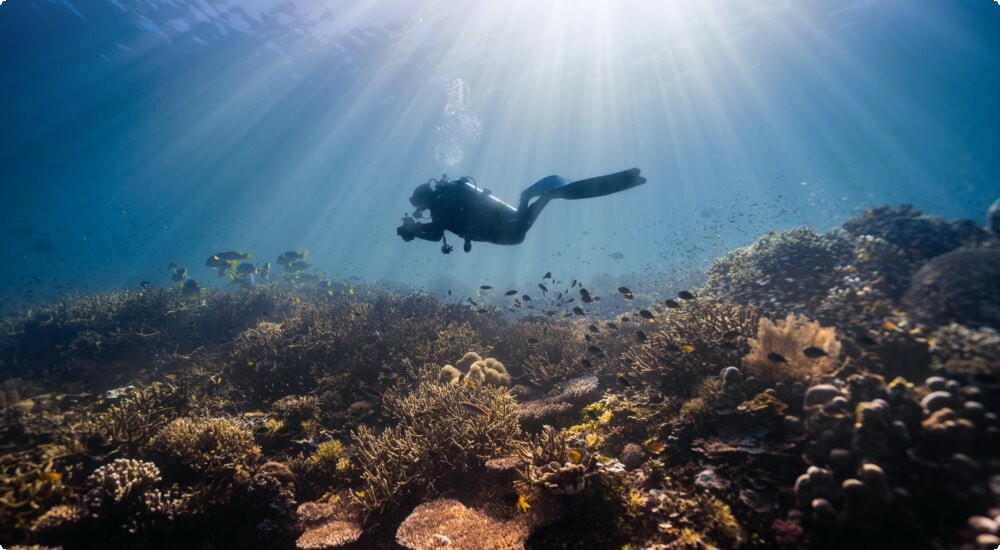 Dive into Adventure